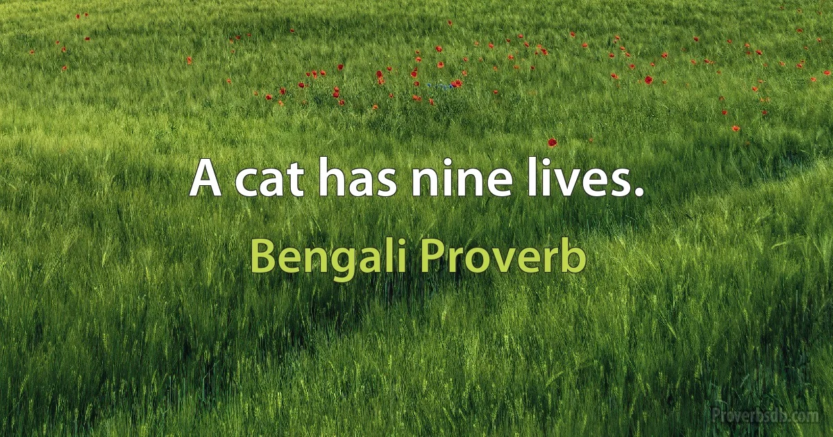 A cat has nine lives. (Bengali Proverb)