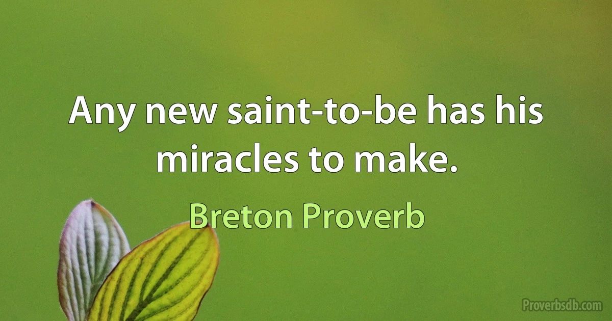 Any new saint-to-be has his miracles to make. (Breton Proverb)