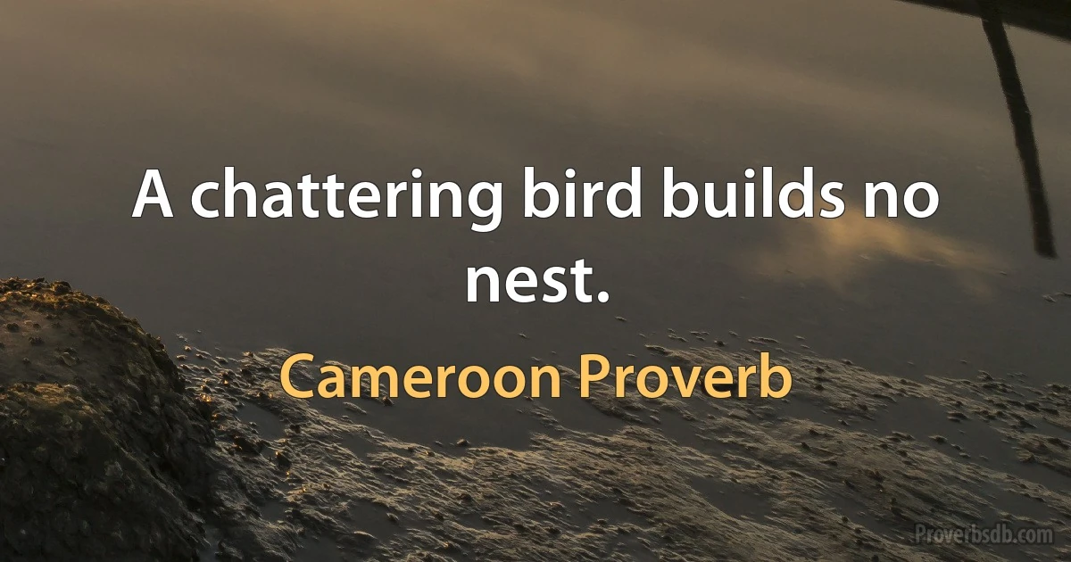 A chattering bird builds no nest. (Cameroon Proverb)