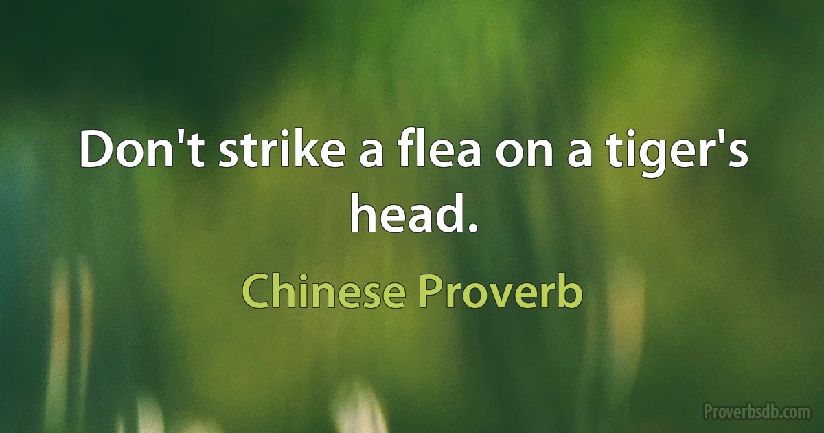 Don't strike a flea on a tiger's head. (Chinese Proverb)