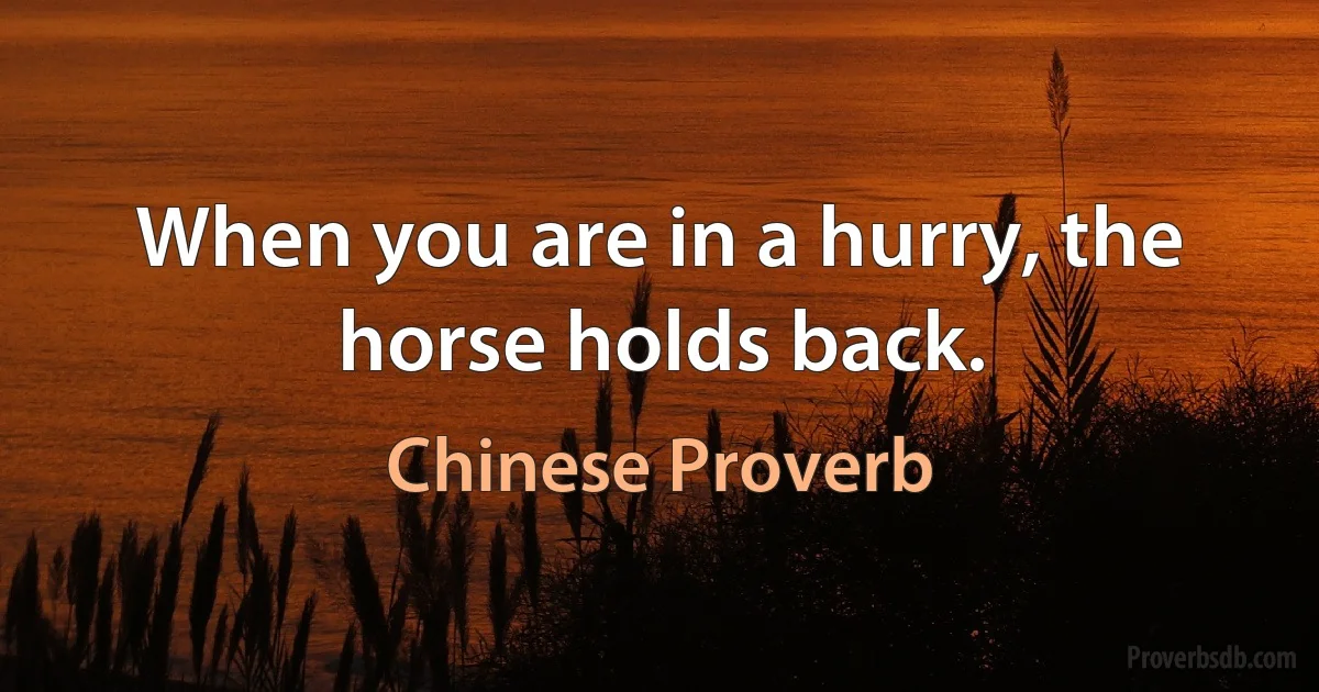 When you are in a hurry, the horse holds back. (Chinese Proverb)