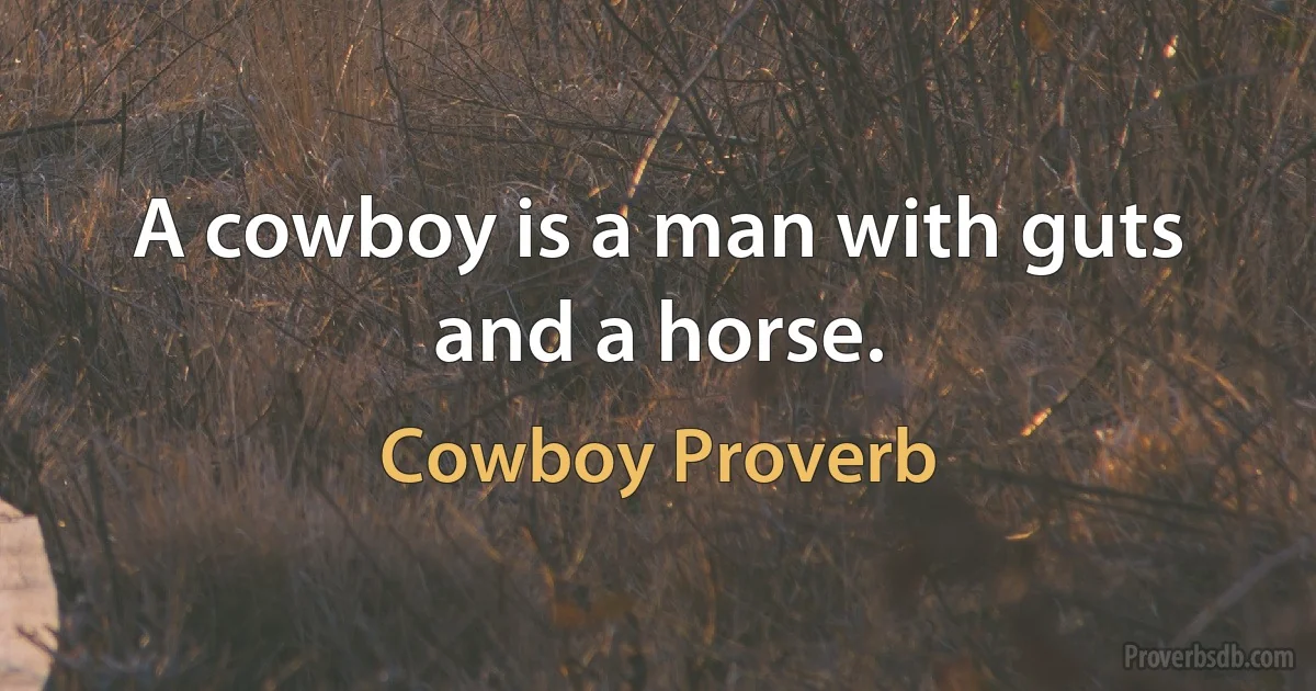 A cowboy is a man with guts and a horse. (Cowboy Proverb)