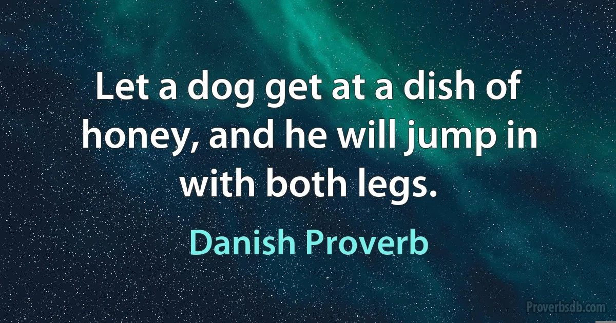 Let a dog get at a dish of honey, and he will jump in with both legs. (Danish Proverb)