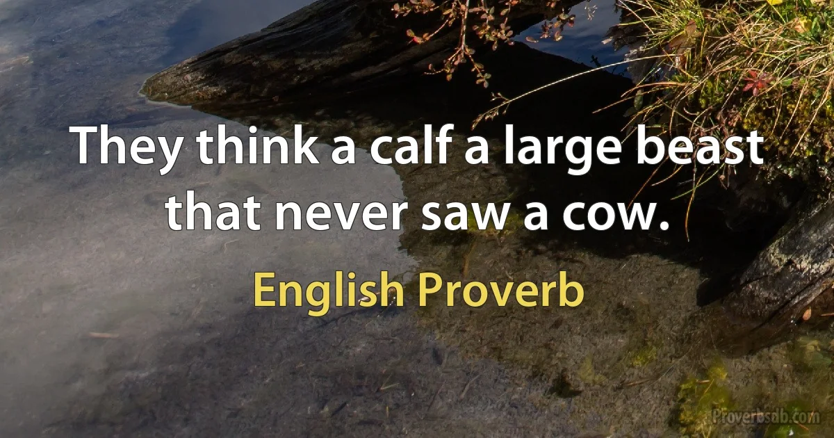 They think a calf a large beast that never saw a cow. (English Proverb)