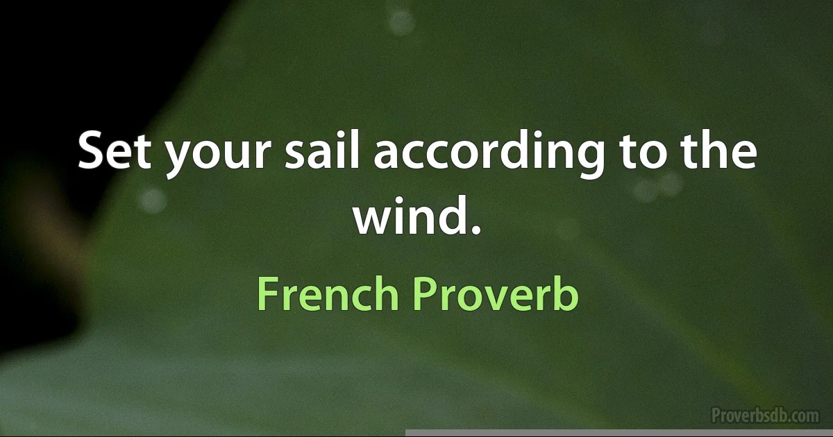 Set your sail according to the wind. (French Proverb)