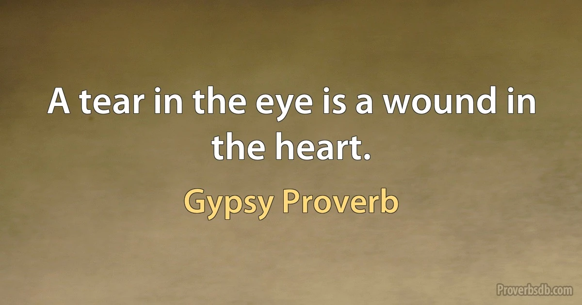 A tear in the eye is a wound in the heart. (Gypsy Proverb)