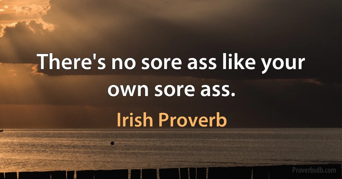 There's no sore ass like your own sore ass. (Irish Proverb)