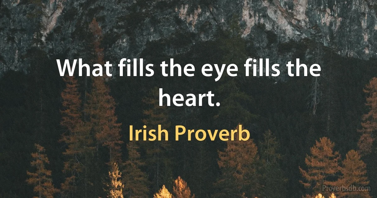 What fills the eye fills the heart. (Irish Proverb)