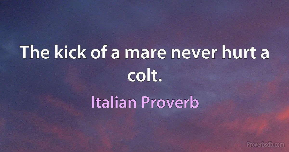 The kick of a mare never hurt a colt. (Italian Proverb)