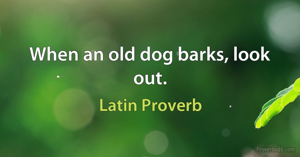 When an old dog barks, look out. (Latin Proverb)