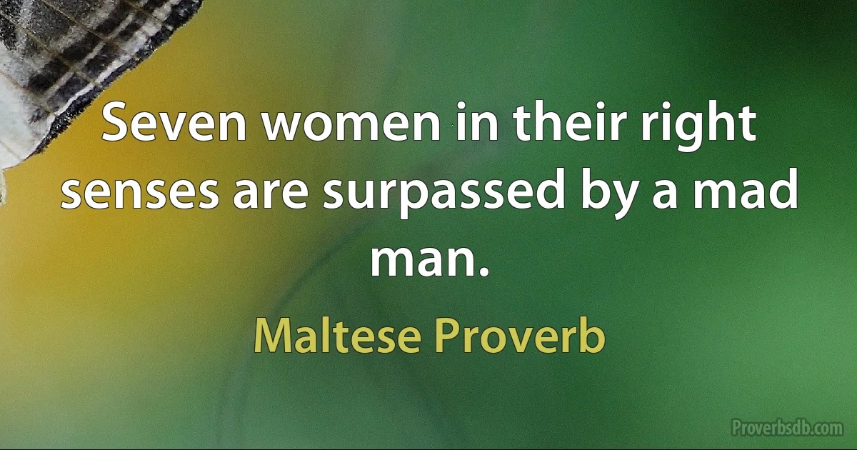 Seven women in their right senses are surpassed by a mad man. (Maltese Proverb)