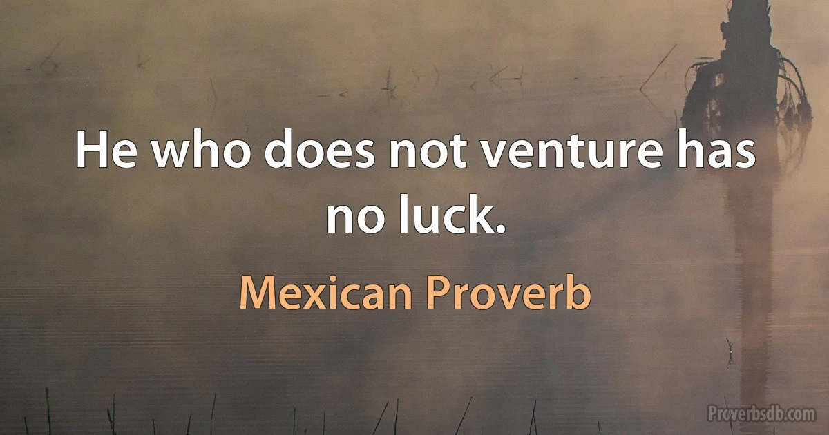 He who does not venture has no luck. (Mexican Proverb)