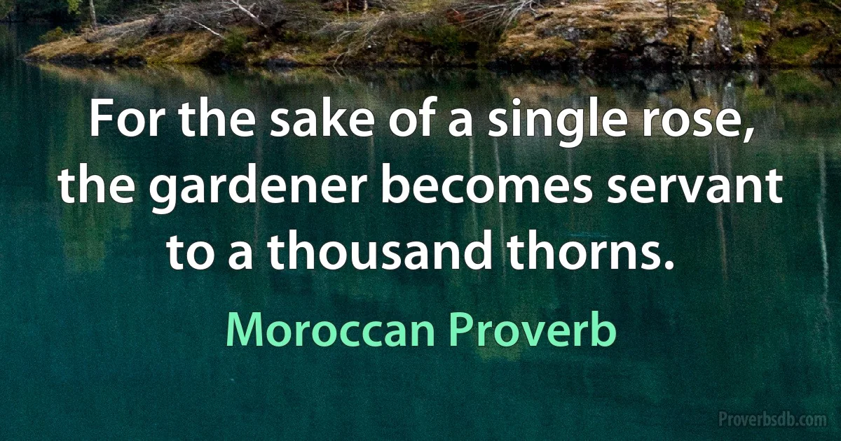 For the sake of a single rose, the gardener becomes servant to a thousand thorns. (Moroccan Proverb)