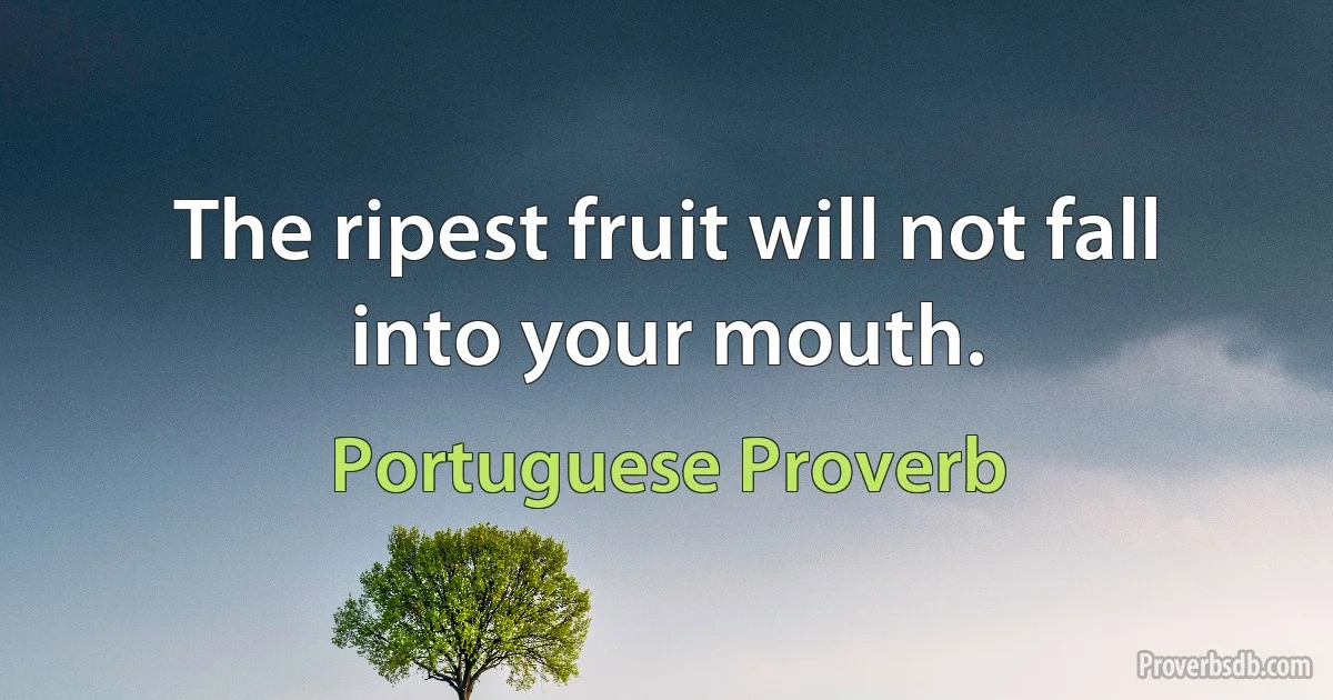 The ripest fruit will not fall into your mouth. (Portuguese Proverb)