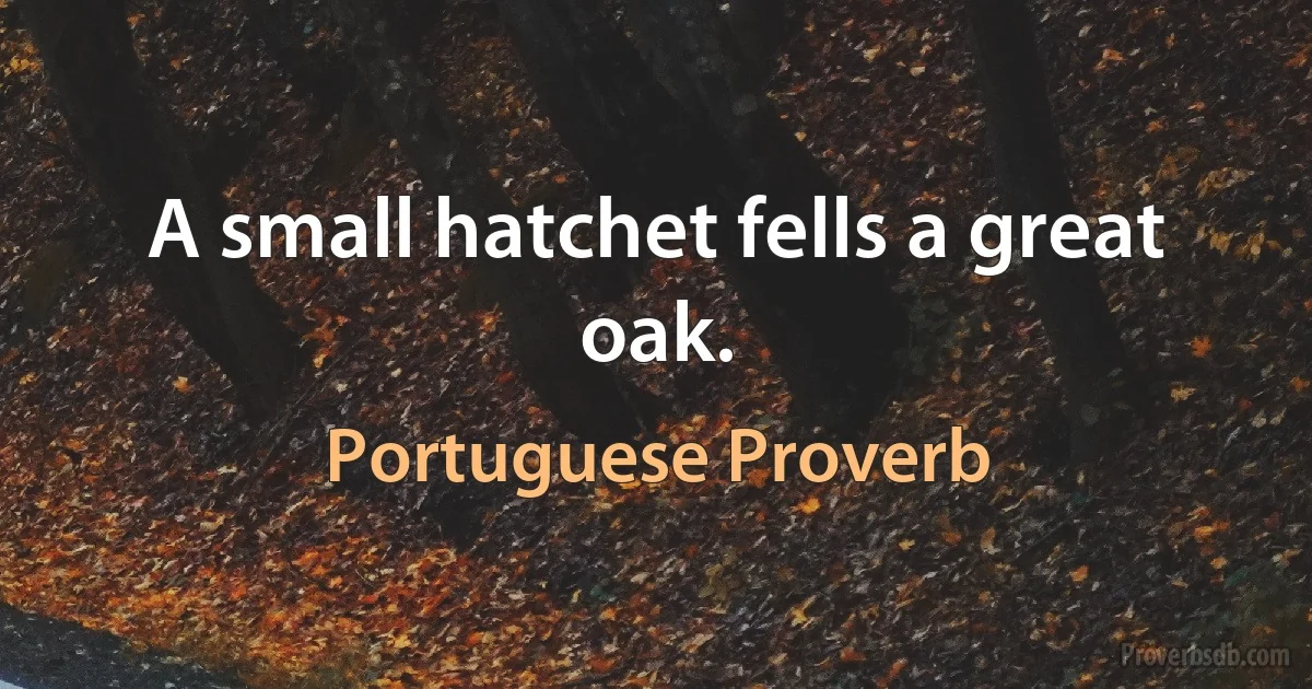 A small hatchet fells a great oak. (Portuguese Proverb)