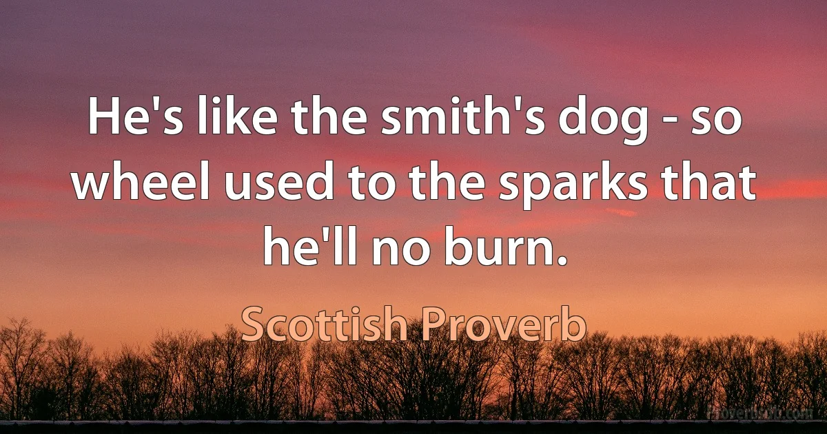 He's like the smith's dog - so wheel used to the sparks that he'll no burn. (Scottish Proverb)