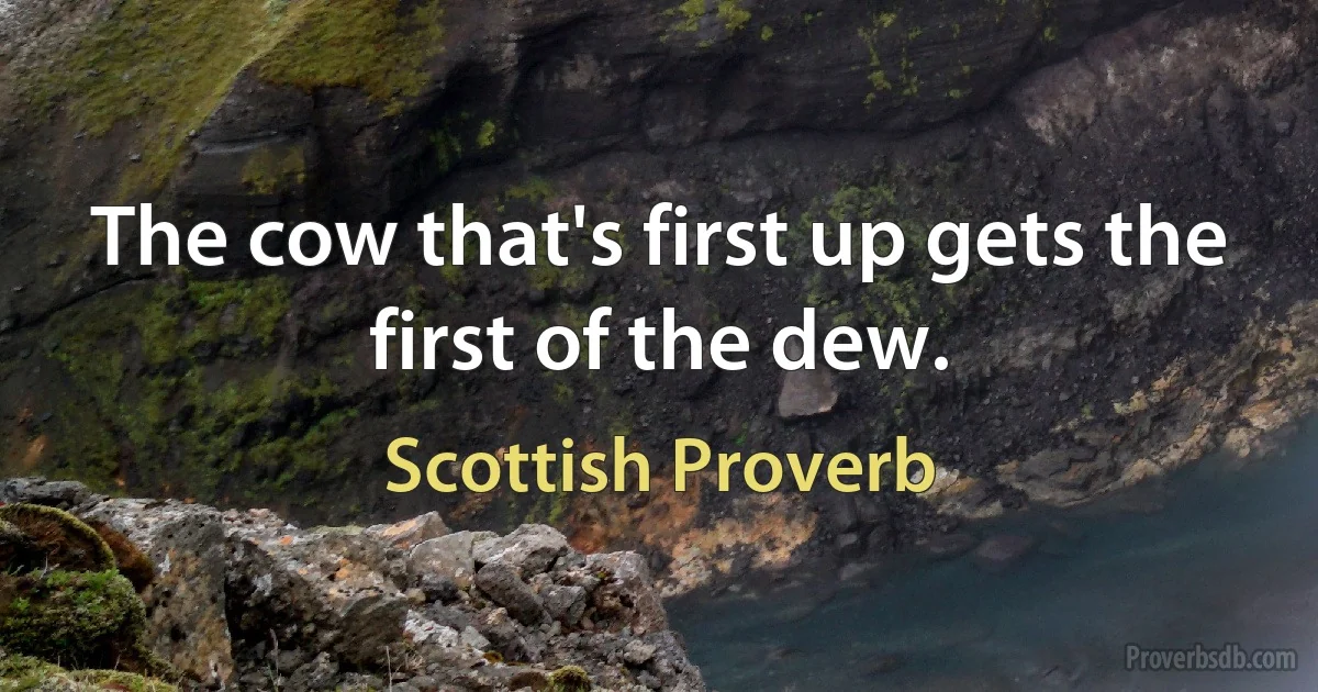 The cow that's first up gets the first of the dew. (Scottish Proverb)