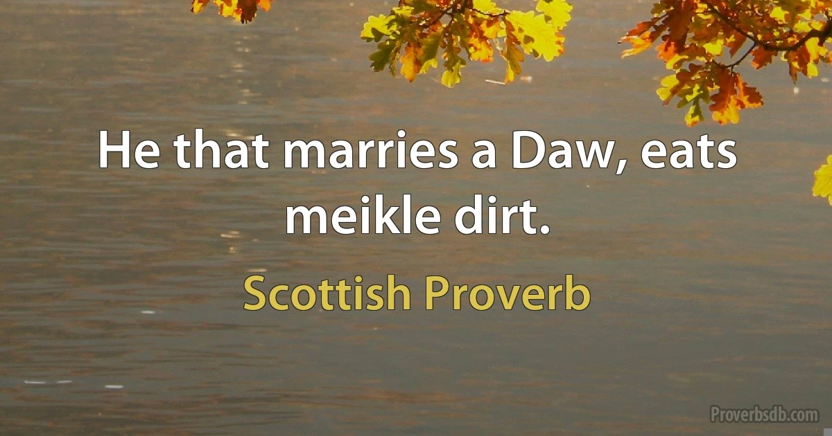 He that marries a Daw, eats meikle dirt. (Scottish Proverb)