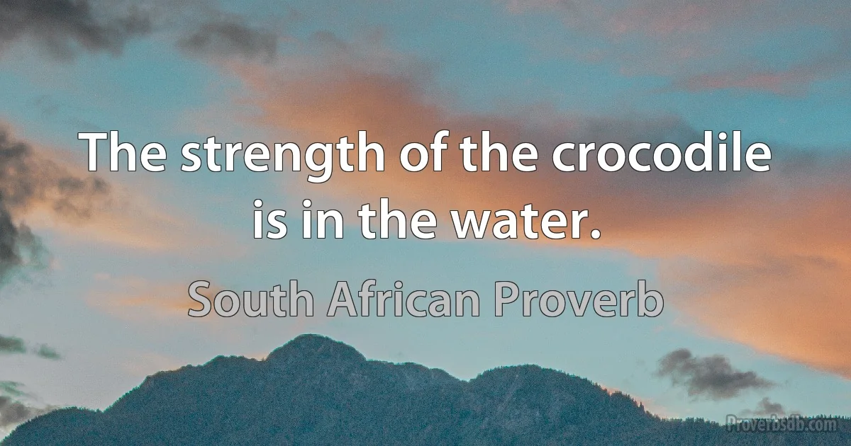 The strength of the crocodile is in the water. (South African Proverb)