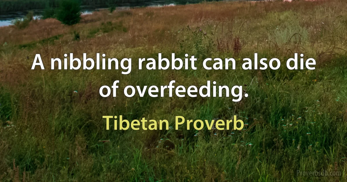 A nibbling rabbit can also die of overfeeding. (Tibetan Proverb)