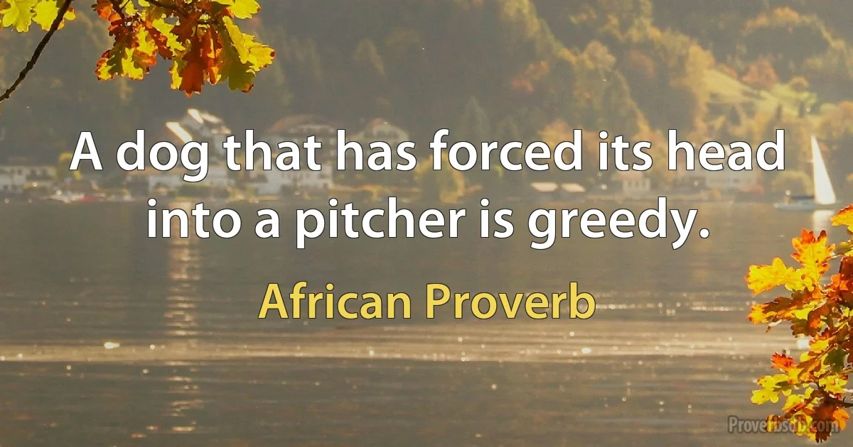 A dog that has forced its head into a pitcher is greedy. (African Proverb)