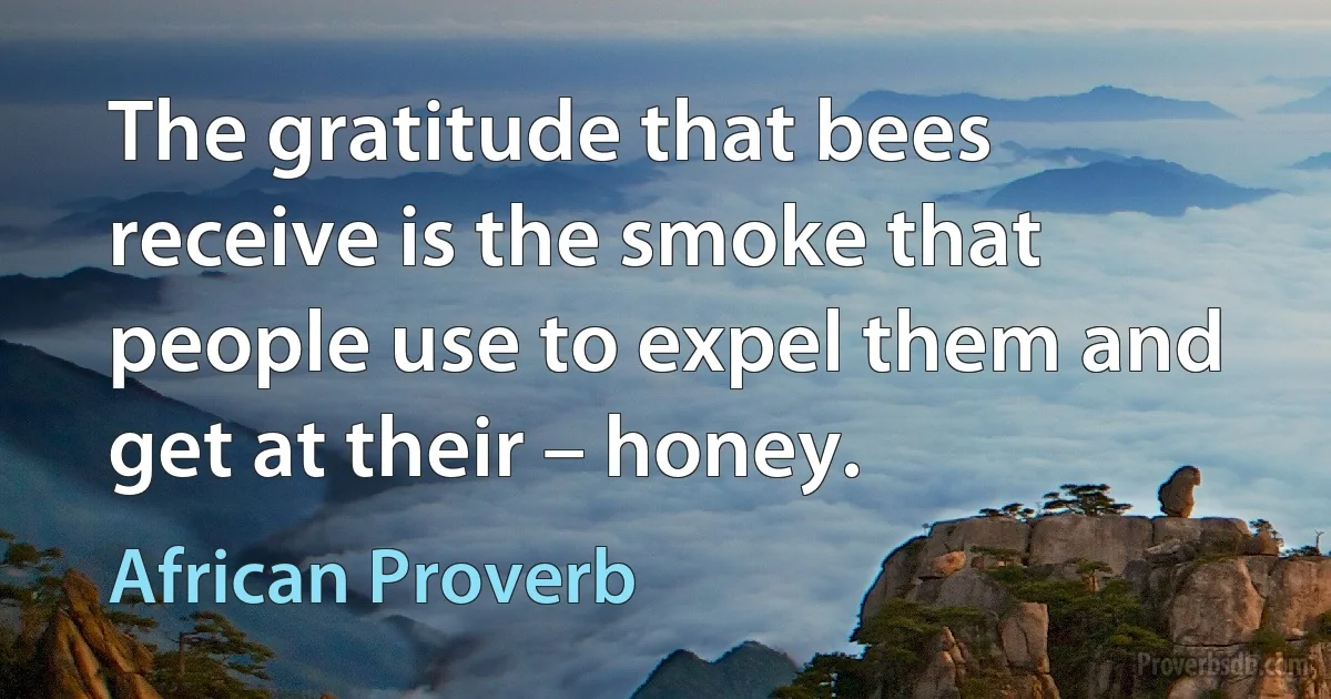 The gratitude that bees receive is the smoke that people use to expel them and get at their – honey. (African Proverb)