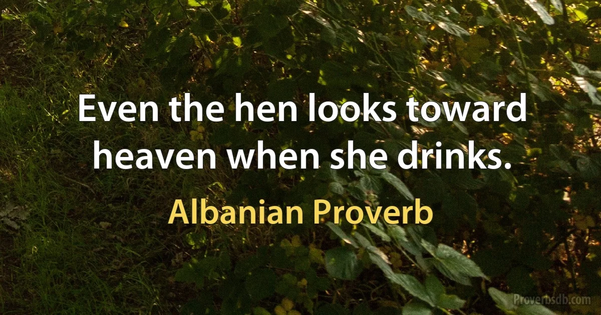 Even the hen looks toward heaven when she drinks. (Albanian Proverb)