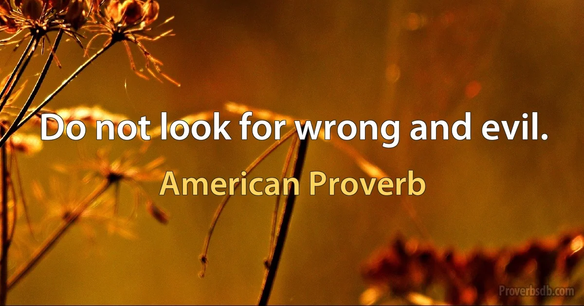 Do not look for wrong and evil. (American Proverb)