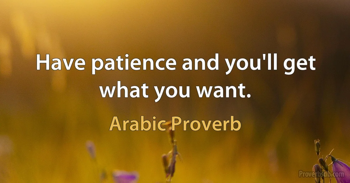 Have patience and you'll get what you want. (Arabic Proverb)