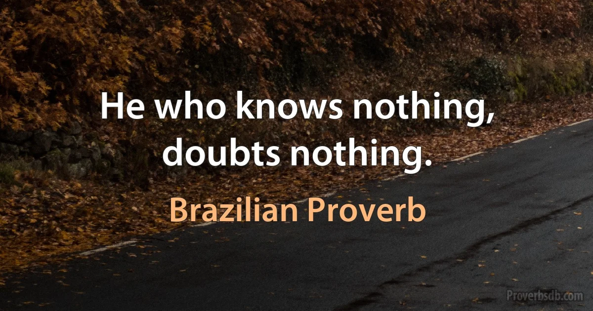 He who knows nothing, doubts nothing. (Brazilian Proverb)