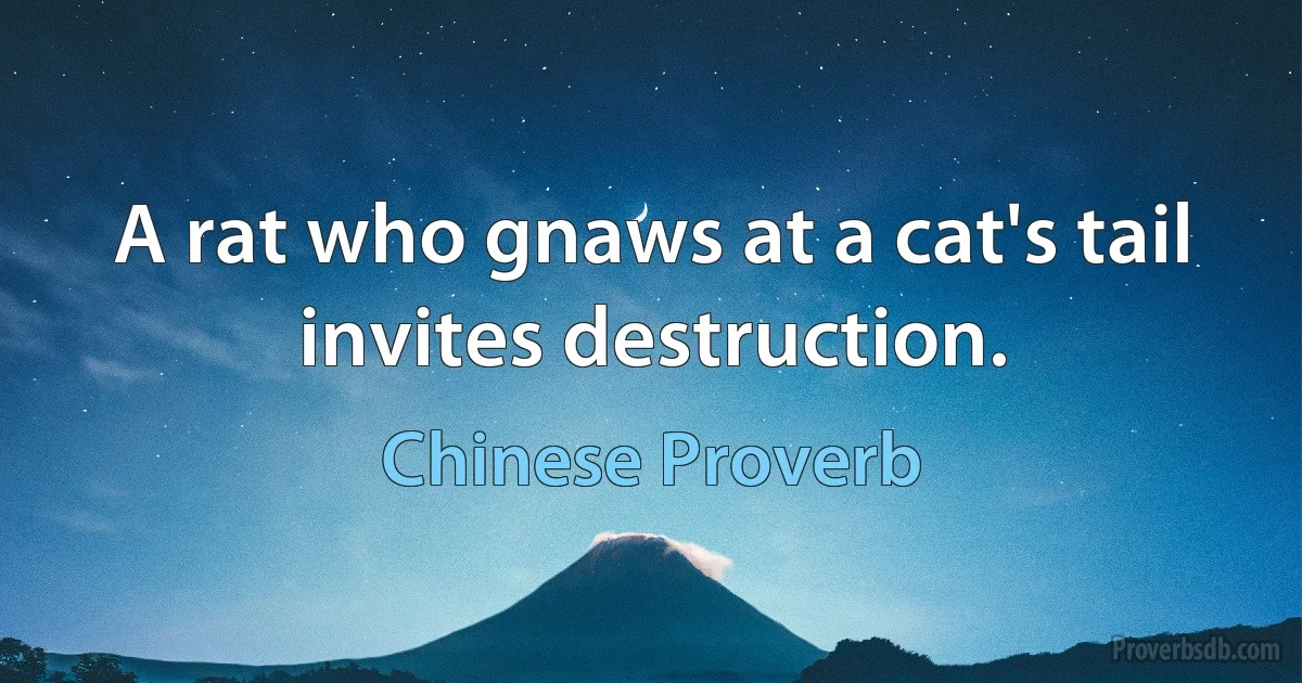 A rat who gnaws at a cat's tail invites destruction. (Chinese Proverb)