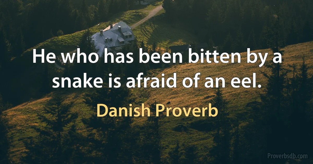 He who has been bitten by a snake is afraid of an eel. (Danish Proverb)