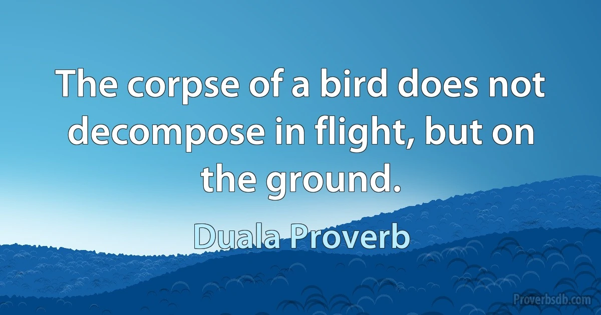 The corpse of a bird does not decompose in flight, but on the ground. (Duala Proverb)