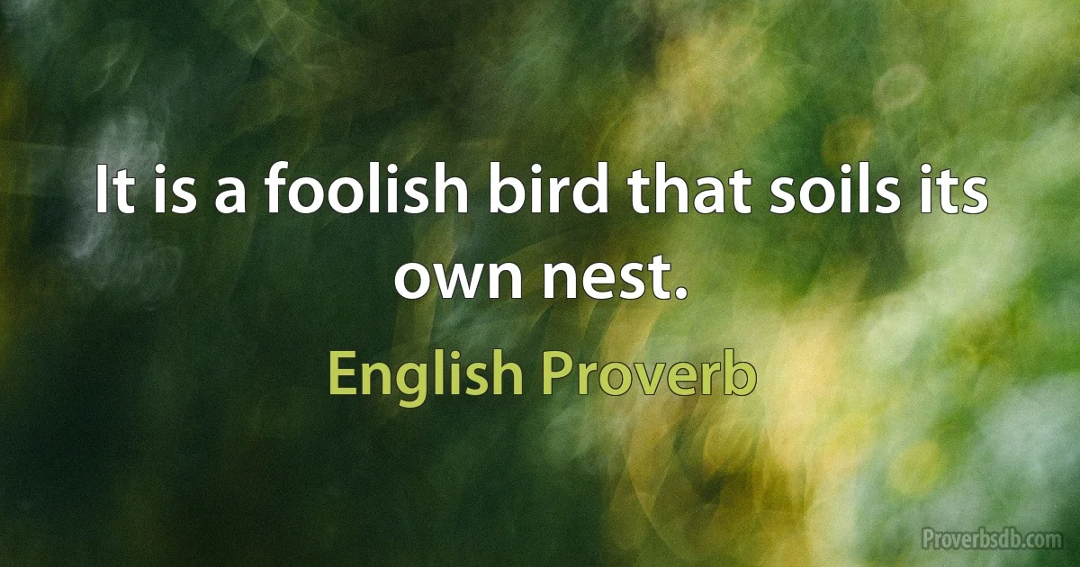 It is a foolish bird that soils its own nest. (English Proverb)