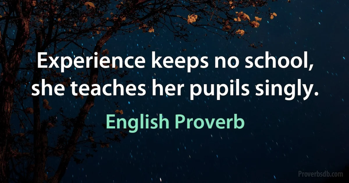 Experience keeps no school, she teaches her pupils singly. (English Proverb)