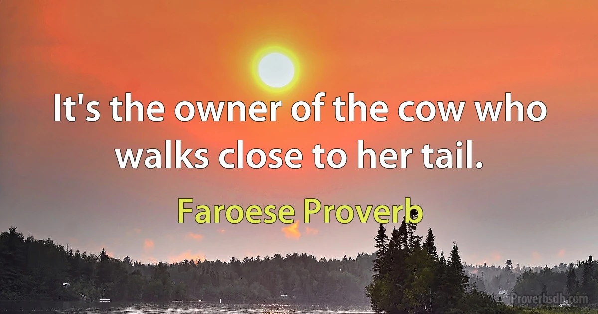 It's the owner of the cow who walks close to her tail. (Faroese Proverb)