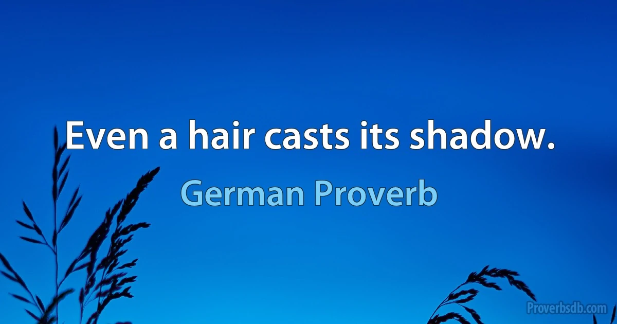 Even a hair casts its shadow. (German Proverb)