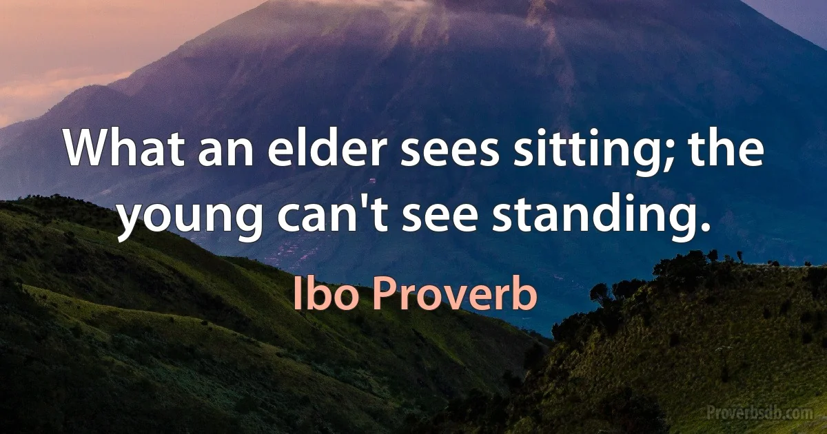 What an elder sees sitting; the young can't see standing. (Ibo Proverb)