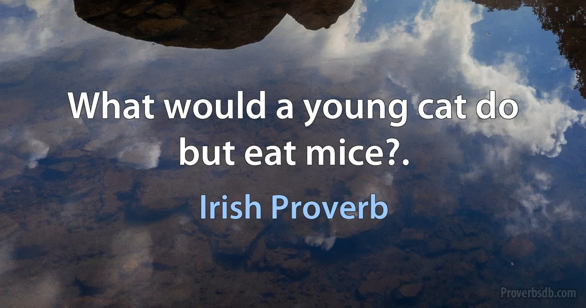 What would a young cat do but eat mice?. (Irish Proverb)