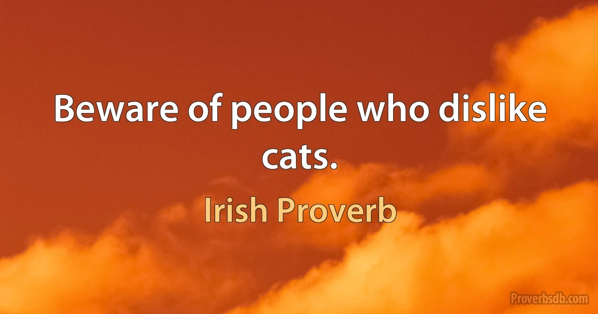 Beware of people who dislike cats. (Irish Proverb)