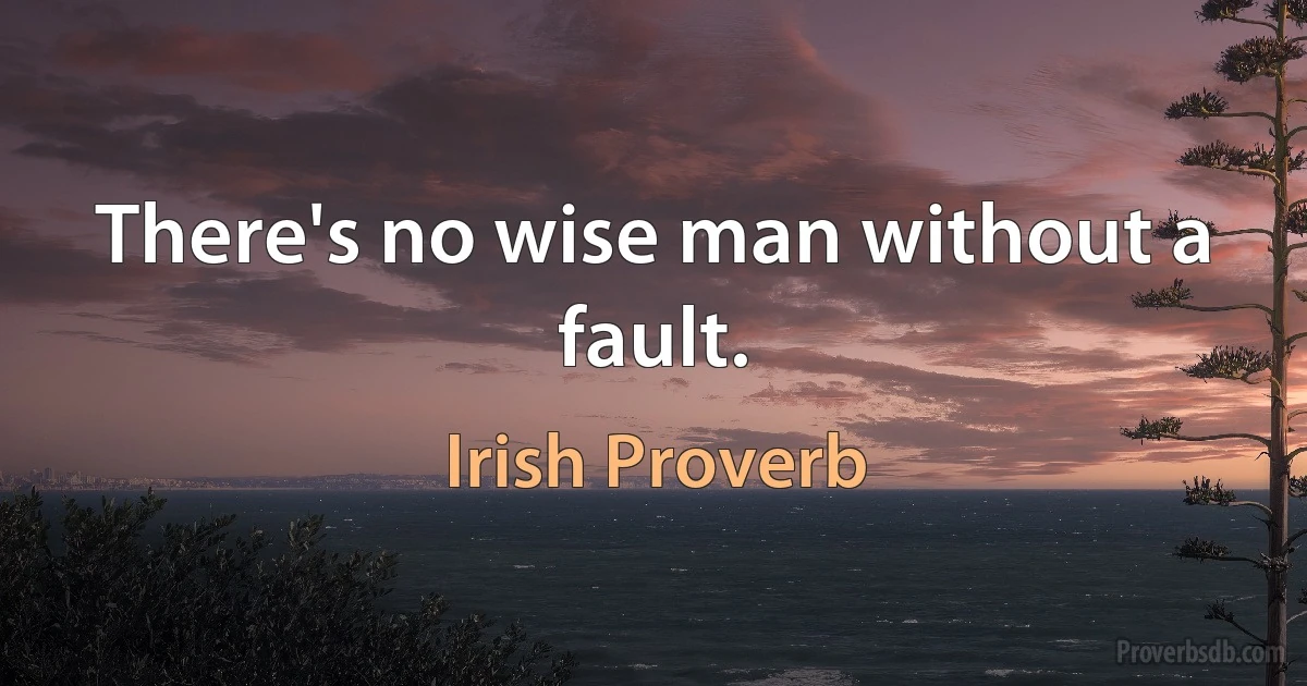 There's no wise man without a fault. (Irish Proverb)