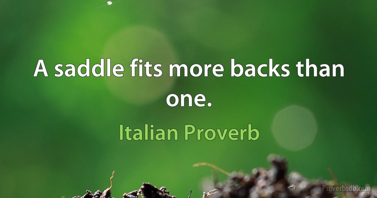 A saddle fits more backs than one. (Italian Proverb)