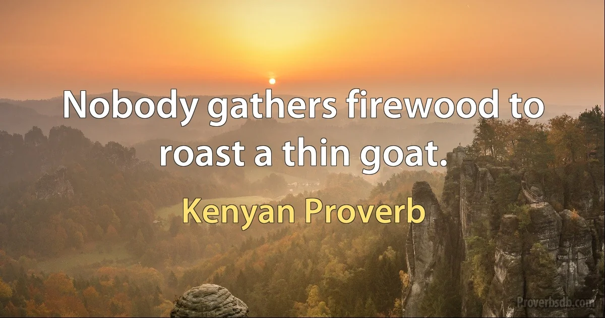 Nobody gathers firewood to roast a thin goat. (Kenyan Proverb)