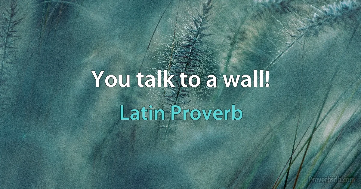 You talk to a wall! (Latin Proverb)