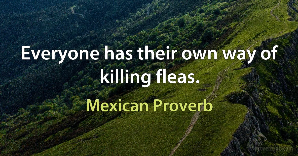 Everyone has their own way of killing fleas. (Mexican Proverb)