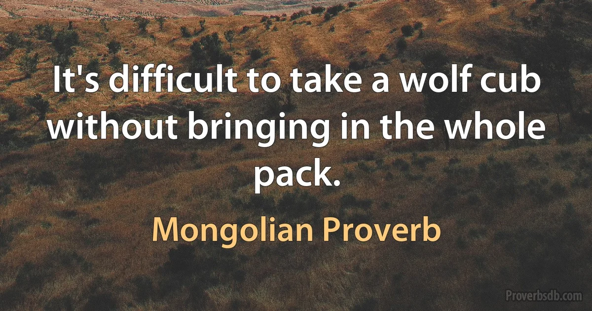 It's difficult to take a wolf cub without bringing in the whole pack. (Mongolian Proverb)