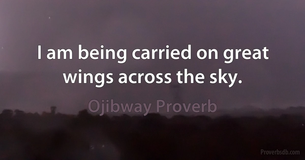 I am being carried on great wings across the sky. (Ojibway Proverb)