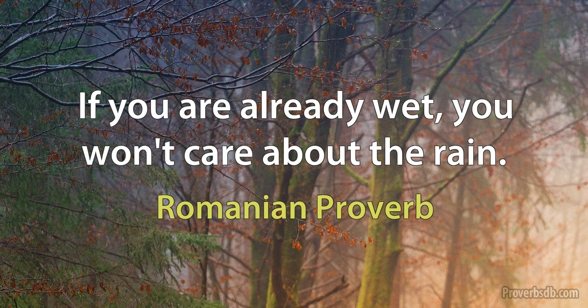 If you are already wet, you won't care about the rain. (Romanian Proverb)