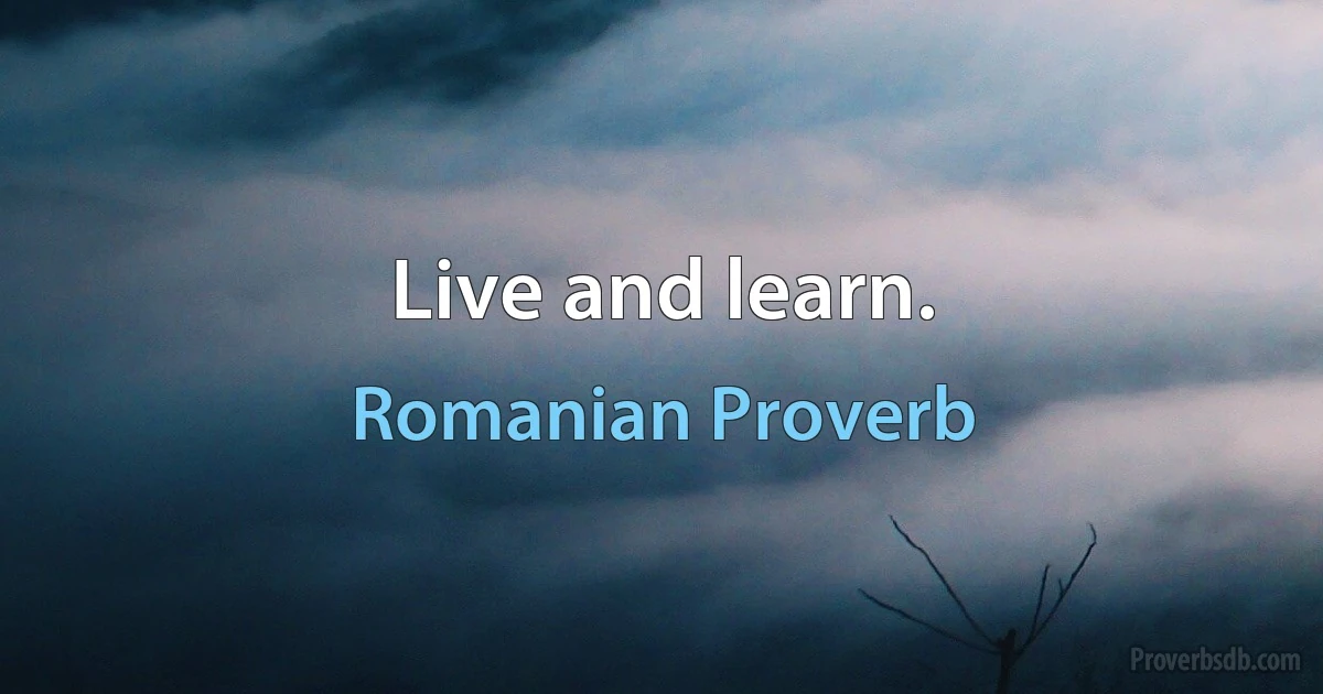 Live and learn. (Romanian Proverb)