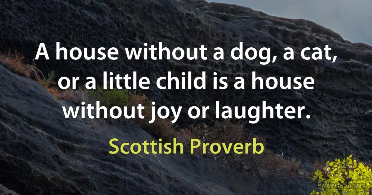 A house without a dog, a cat, or a little child is a house without joy or laughter. (Scottish Proverb)